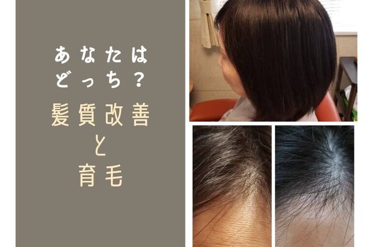 髪質改善と育毛の違いの説明です。