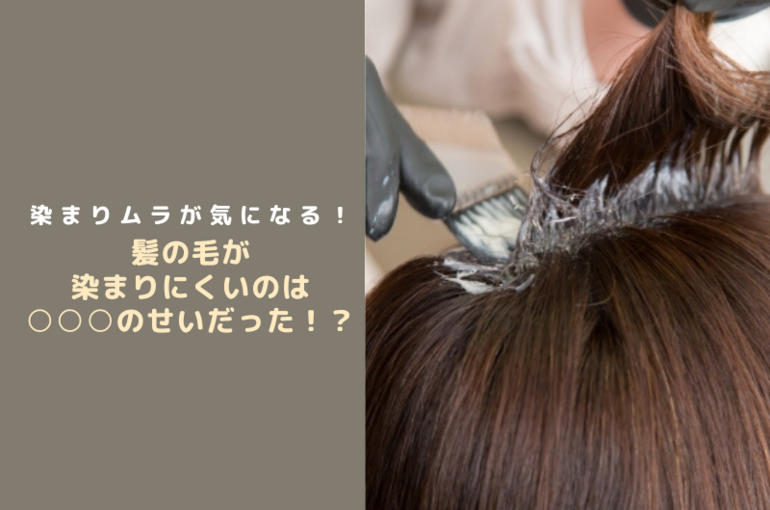 髪の毛がそまりにくい人の原因についての説明です。